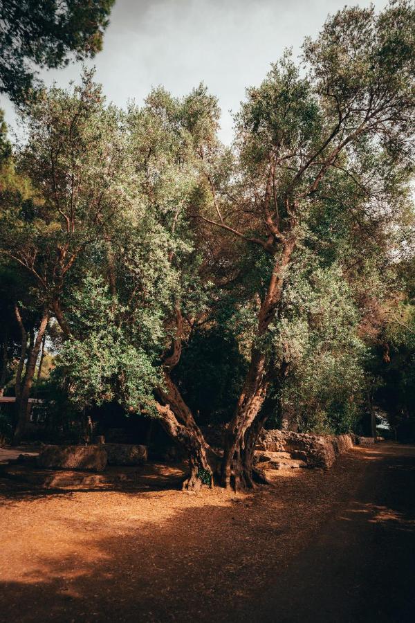 I Giardini Di Santomaj Apartamento Leporano Exterior foto